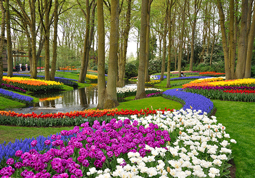 Keukenhof-Gardens Keukenhof Gardens