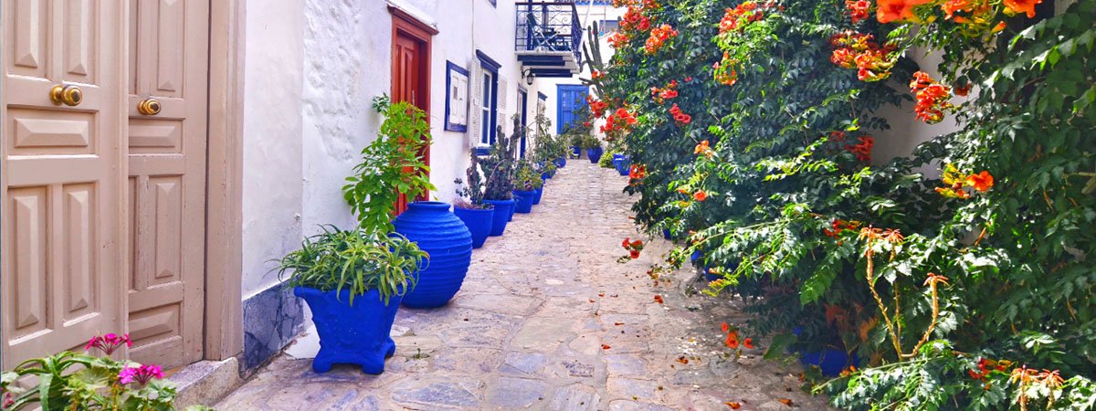 Colorful Hydra Island Alley