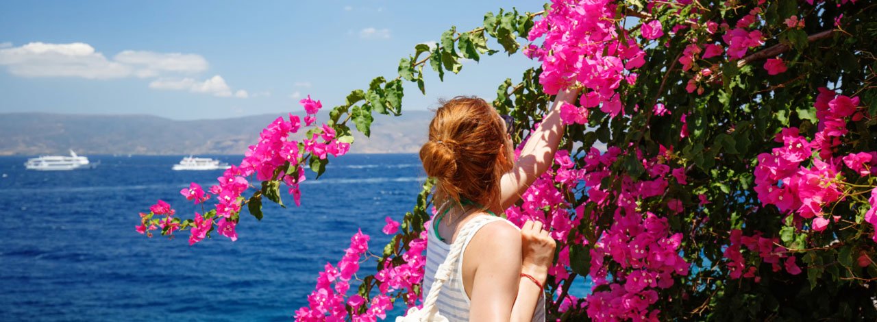 Loving the Hydra flowers Loving the Hydra flowers