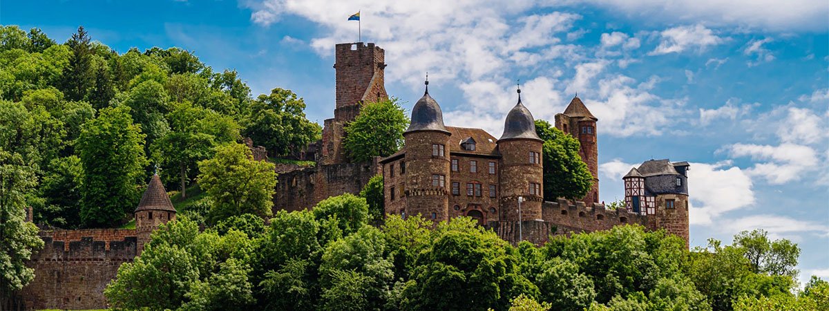 Main River – Wertheim Am Main Castle on sunny Day Main River - Wertheim Am Main Castle on sunny Day