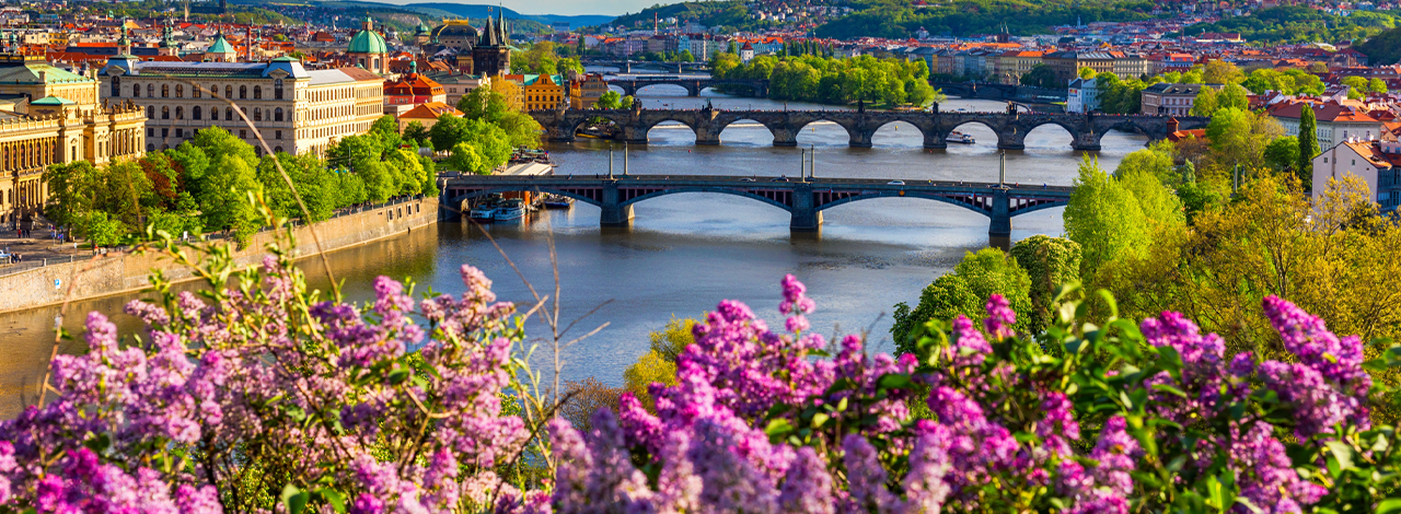 Shoulder season -Prague in spring